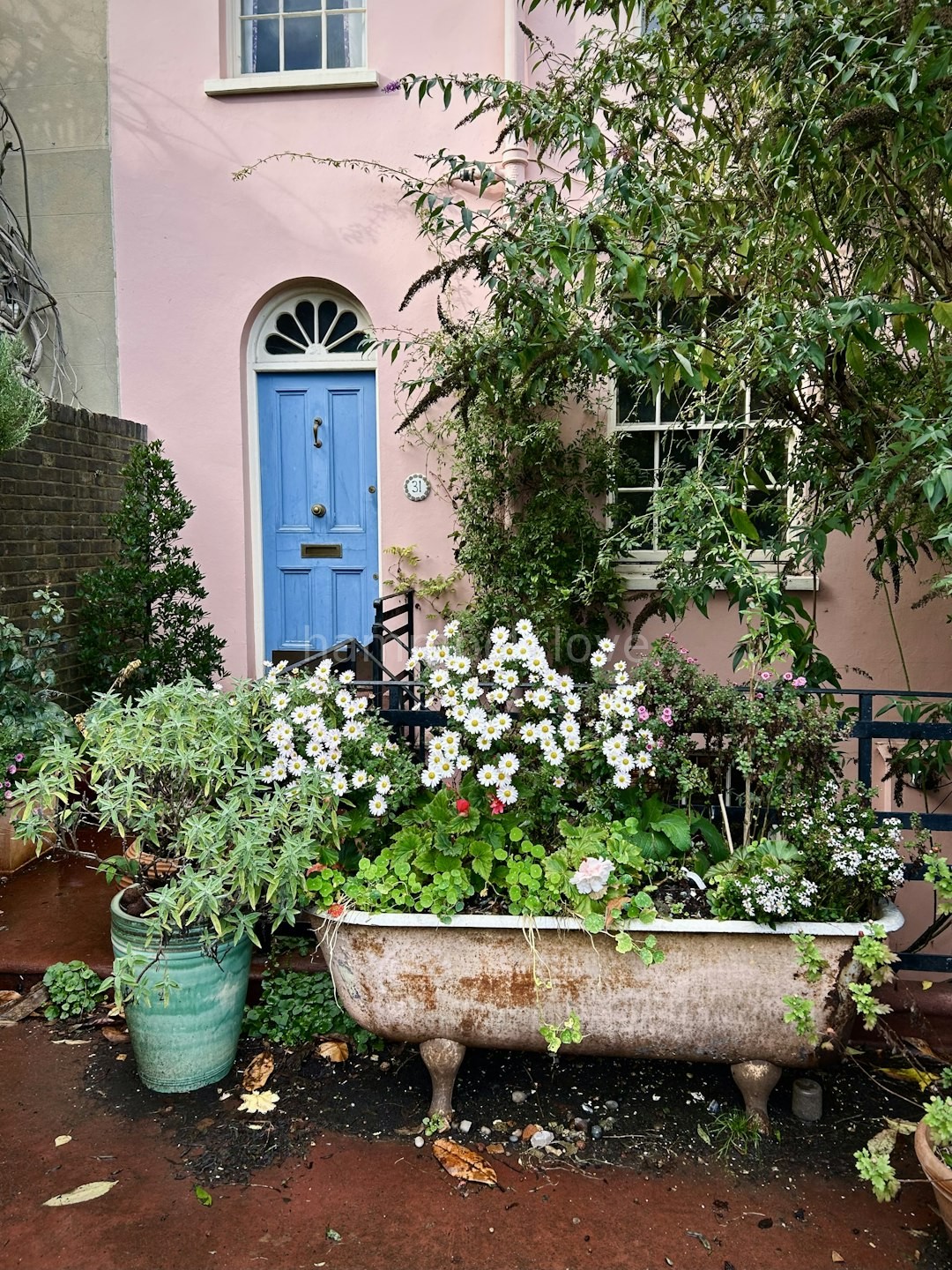 Garden 1