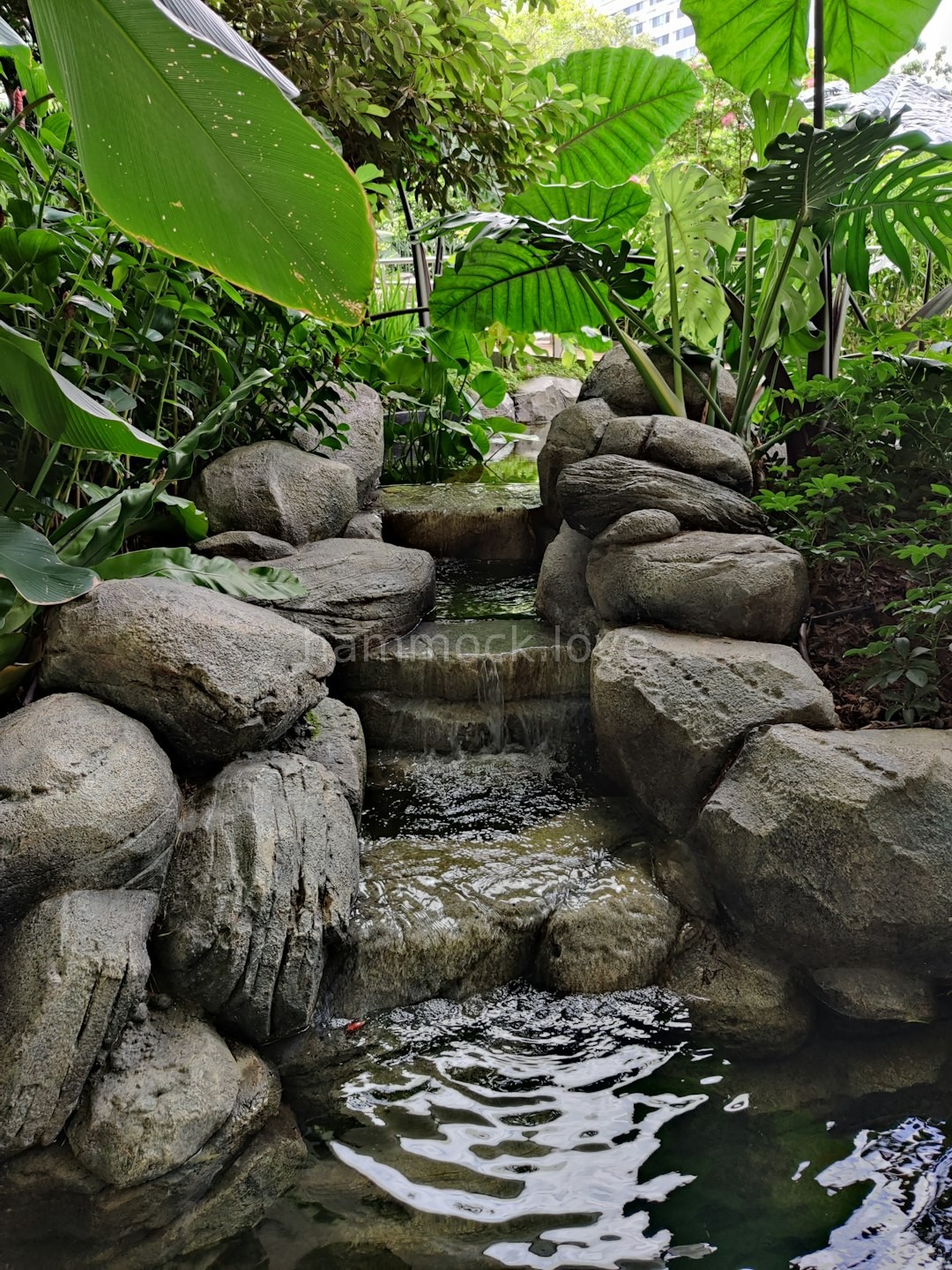Beautiful Garden