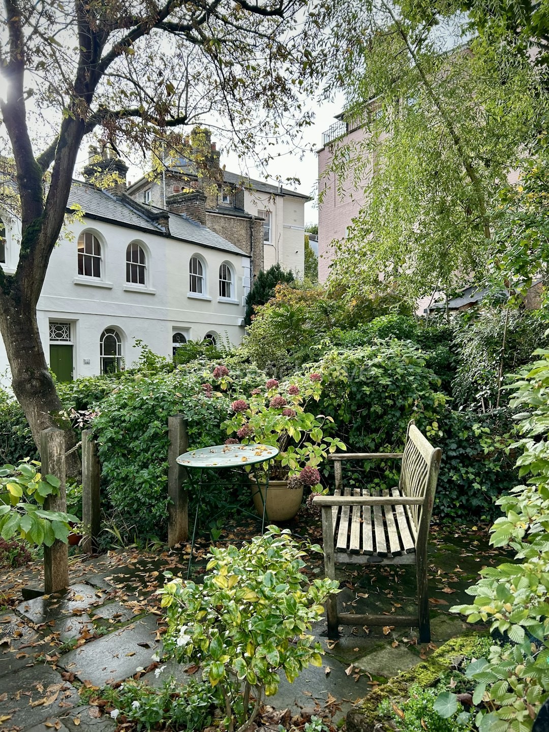 Lush Garden